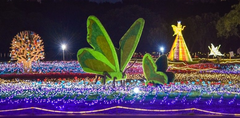 新北河濱蝶戀季 — 夜間地景藝術